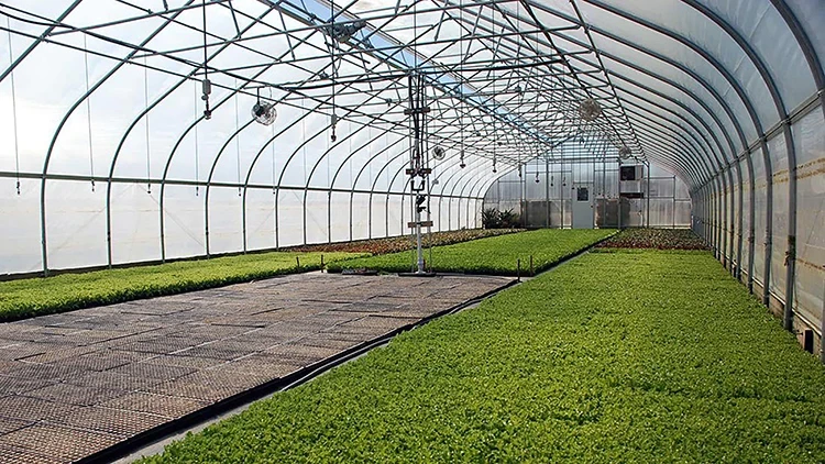 Blackout System Greenhouse Support by Oone 8
