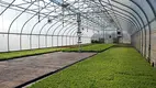 Commercial High Tunnel Greenhouse Support by Oone 8