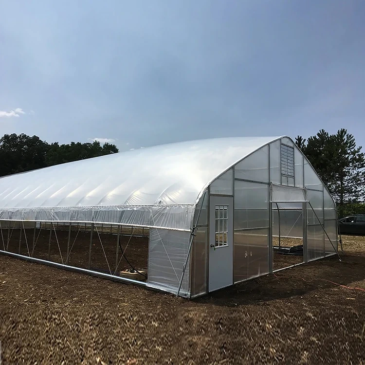 Tunnel Greenhouse Kit Steel Tube; Galvanised for Surface Wholesale - Oone 5