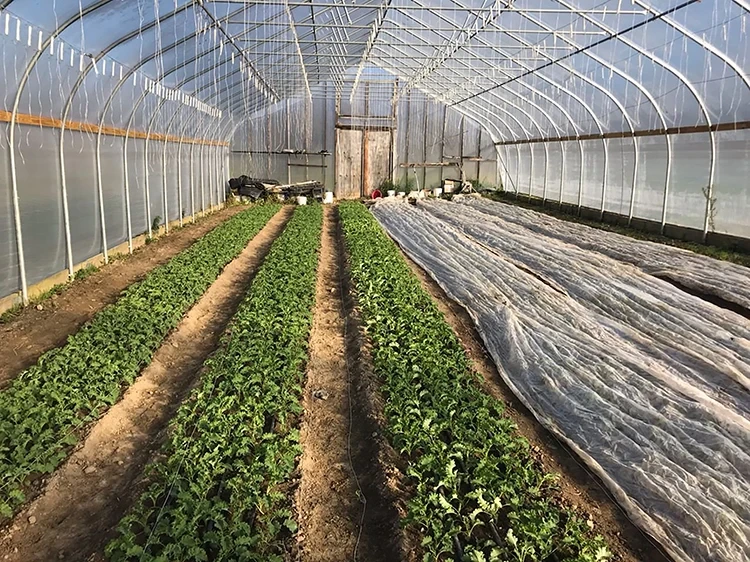 Blackout System Greenhouse Support by Oone 3