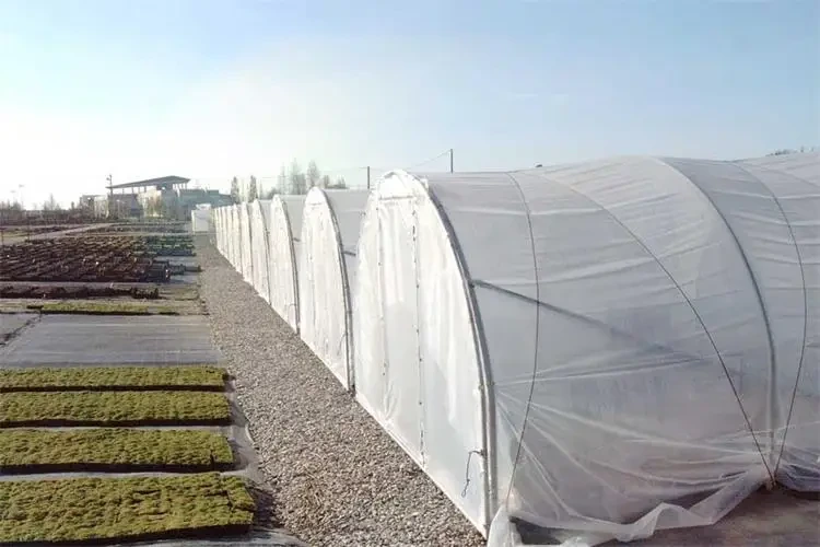High Tunnel Greenhouse Plastic 8m - - Oone 7
