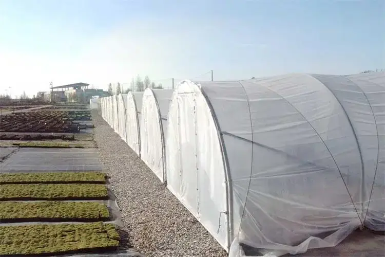 Large Tunnel Greenhouse Green PE Mesh Fabric 140g/m2 - - Oone 4