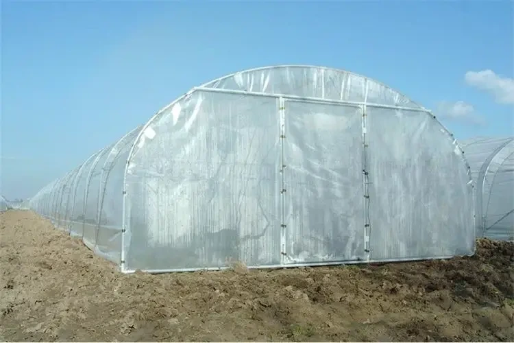 High Tunnel Greenhouse Plastic 8m - - Oone 5