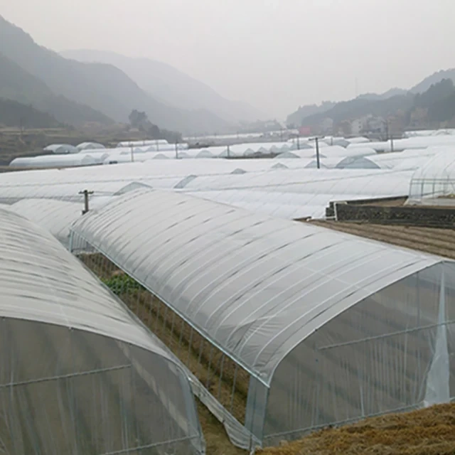 High Tunnel Greenhouse Plastic 8m - - Oone 4