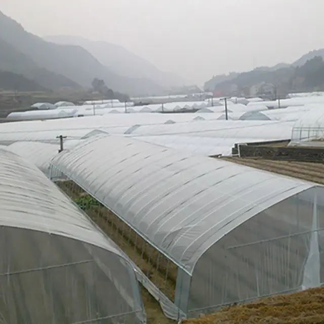 Large Tunnel Greenhouse Green PE Mesh Fabric 140g/m2 - - Oone 3