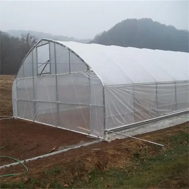 High Tunnel Greenhouse Plastic 8m - - Oone 3