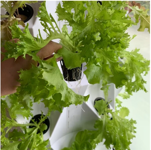 Vertical Tower Hydroponic System 001 - - Oone 6