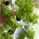 Outdoor Hydroponics Tower Oone by Oone 6