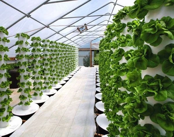 Vertical Tower Hydroponic System 001 - - Oone 8
