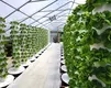 Outdoor Hydroponics Tower Oone by Oone 8