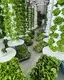Outdoor Hydroponics Tower Oone by Oone 9