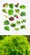 Smart Hydroponic Planter 340mm by Oone 7