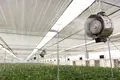 Best Environmental Controller for Grow Room Pc by Oone 5