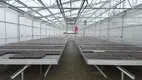 Vertical Grow Racks for Sale Oone Wholesale - Oone 4