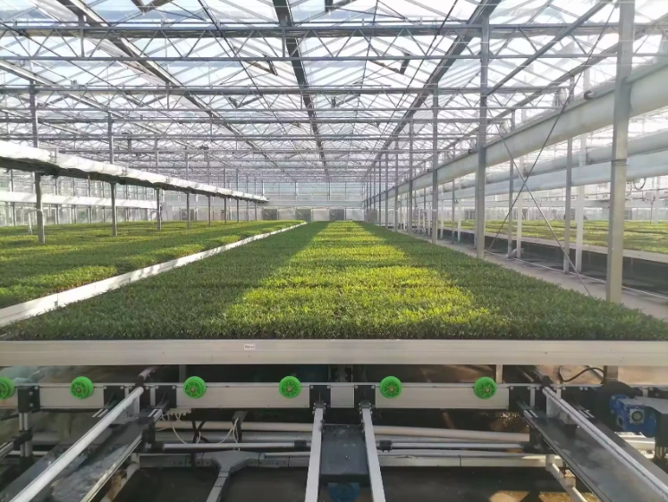 Vertical Farming Racks Oone - - Oone 5