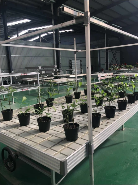Vertical Farming Racks Oone - - Oone 6