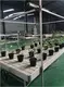 Vertical Grow Racks for Sale Oone Wholesale - Oone 6