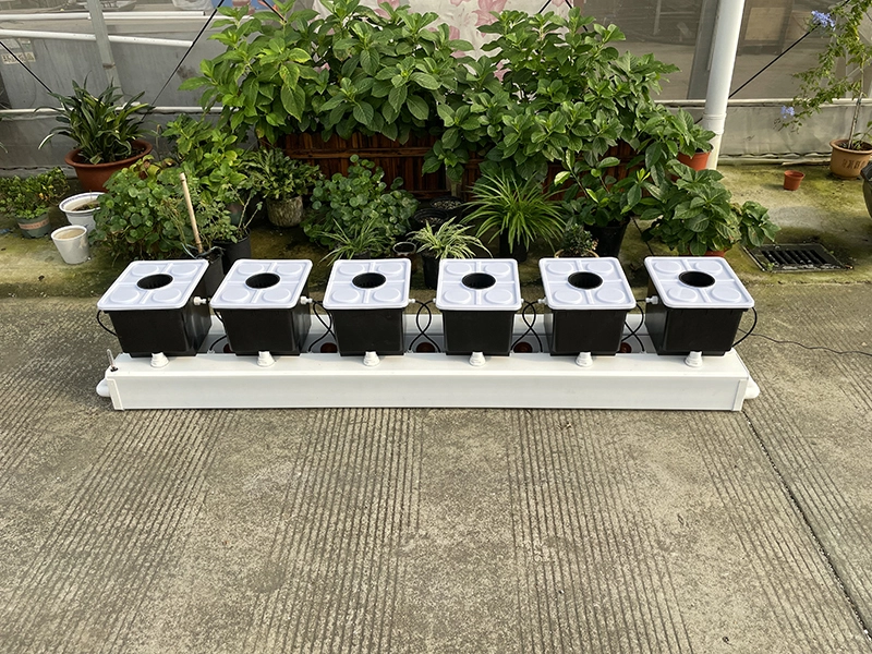 Dutch Bucket System 23cm - - Oone 3