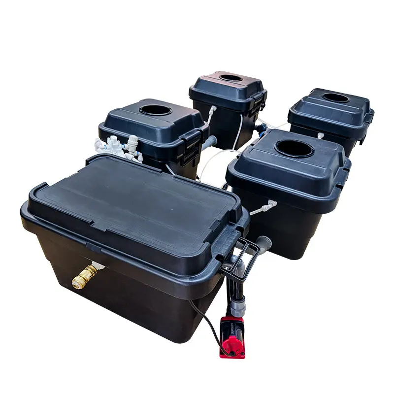 Bato Bucket Customized - - Oone 5