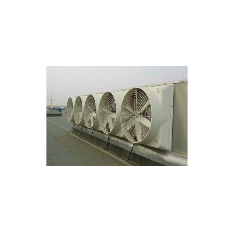 Greenhouse Manufacturer 146*146*59 Wholesale - Oone-1 4