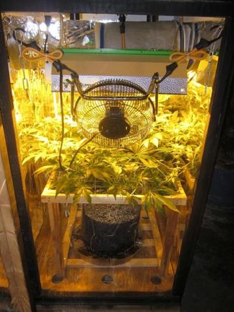 Vertical Growing Systems 150*150*200 - - Oone 6