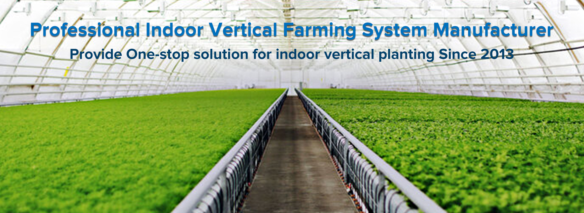 Banner des vertikalen Landwirtschaftssystems in Indoor 图