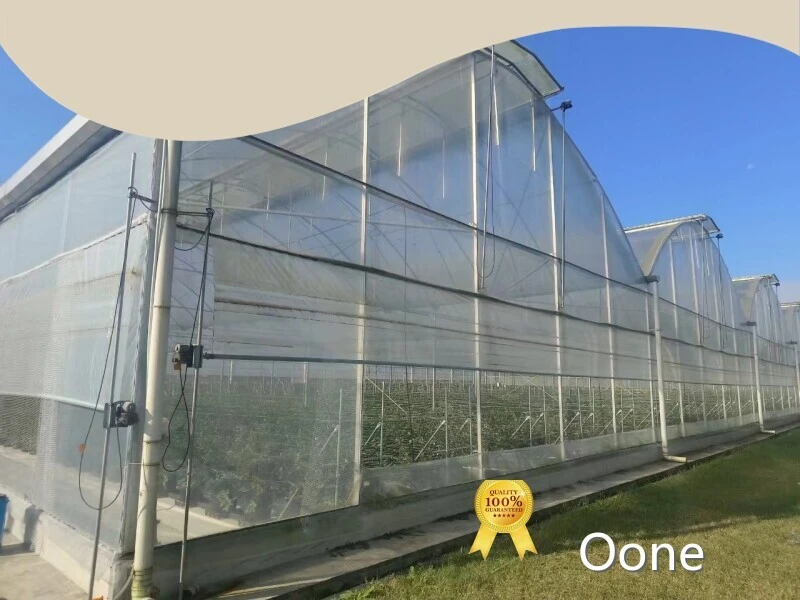 Small Tunnel Greenhouse Customized - - Oone 1