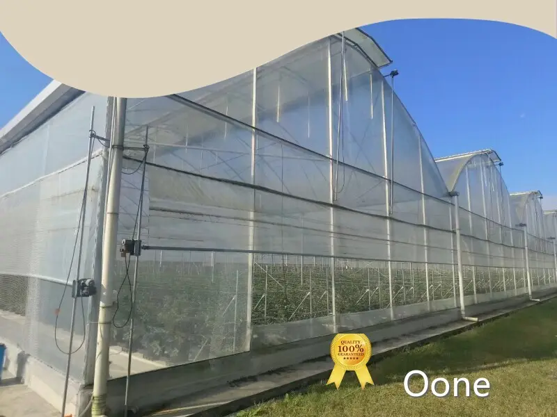 Small Tunnel Greenhouse Customized - - Oone 1