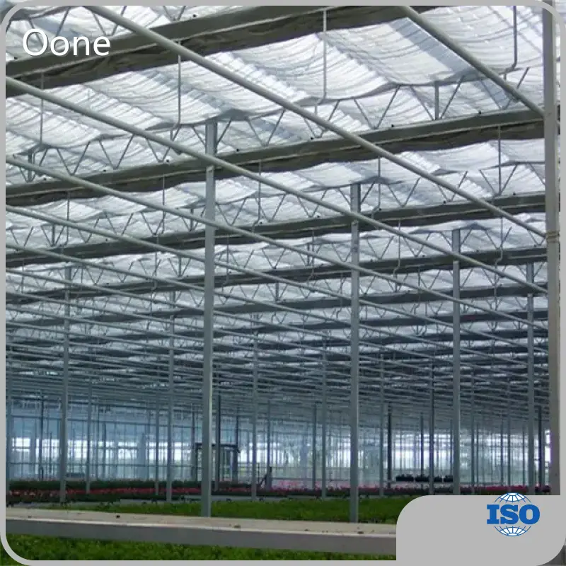 6x6 Glass Greenhouse Visa by Oone 1