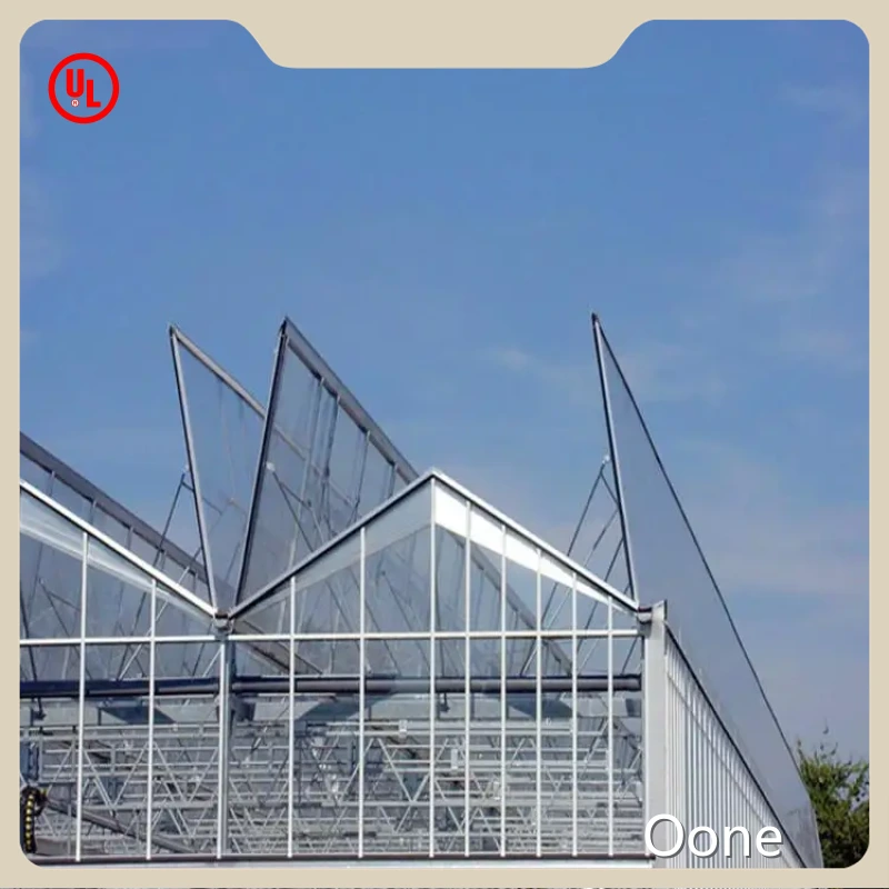 Large Glass Greenhouse for Sale Customizable - - Oone 1