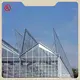 Large Glass Greenhouse for Sale Customizable - - Oone 1