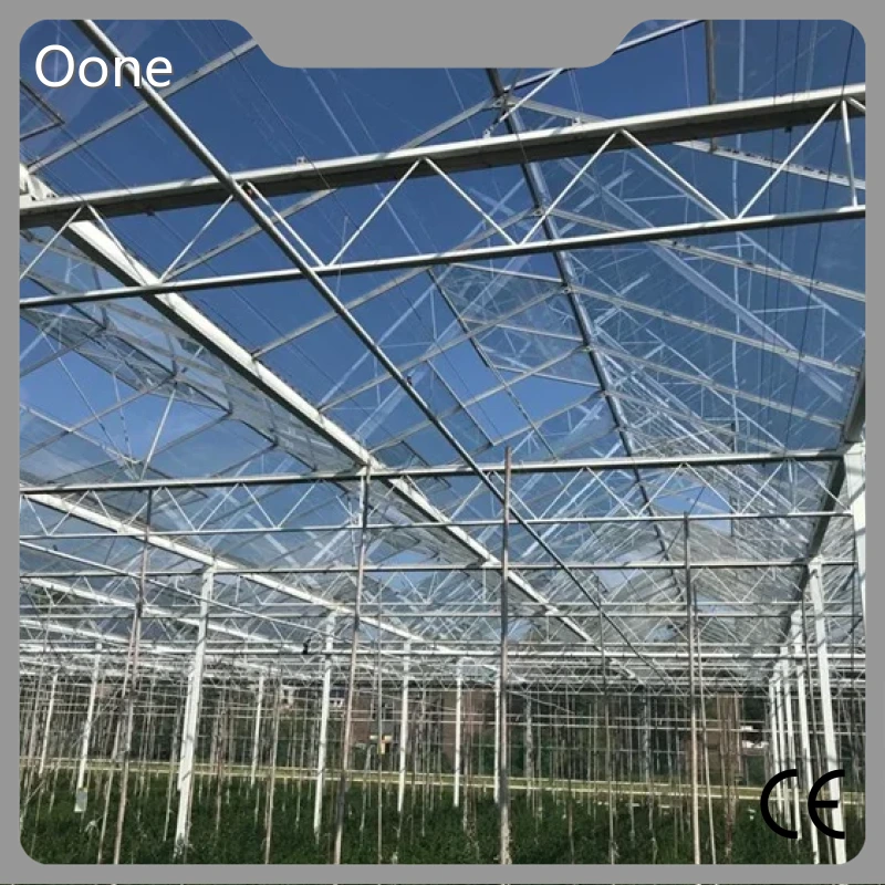 Glass Greenhouse for Sale Yes by Oone 1