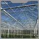 Glass Greenhouse for Sale Yes by Oone 1