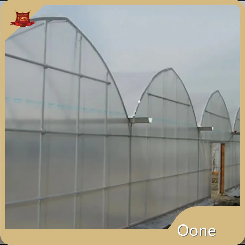 Multi Span Greenhouse for Sale 100 by Oone 1