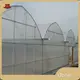 Multi Span Greenhouse for Sale 100 by Oone 1