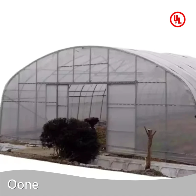 Small Glass Greenhouse Support by Oone 1