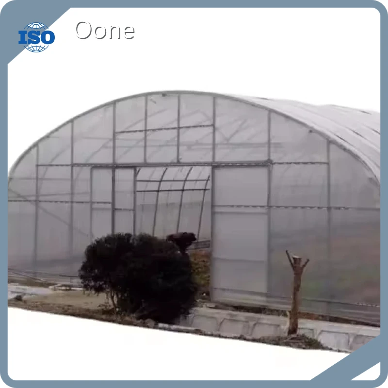 Tunnel Greenhouse Single-Span Agricultural Greenhouses - - Oone 1