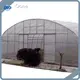 Tunnel Greenhouse Single-Span Agricultural Greenhouses - - Oone 1