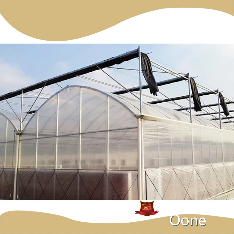 Glass Greenhouse 6x8 Multi-Span Agricultural Greenhouses by Oone 1