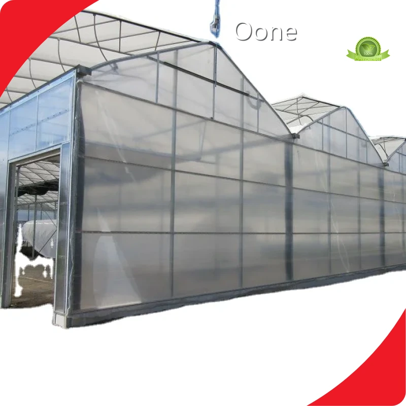 Glass Greenhouse Cost 8m Wholesale - Oone 1