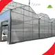 Glass Greenhouse Cost 8m Wholesale - Oone 1
