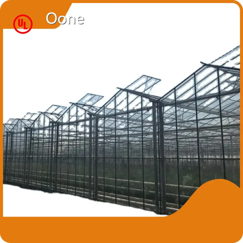 Glass Green House for Sale Customizable - - Oone 1