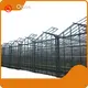 Glass Green House for Sale Customizable - - Oone 1