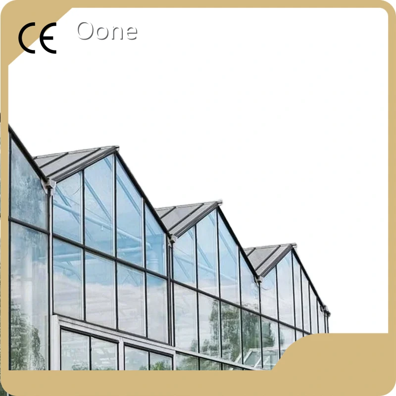 Multi Span Greenhouse Design Flat Wholesale - Oone 1