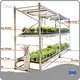 Grow Rack Systems 1 Year Wholesale - Oone 1
