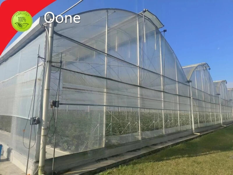 Multi Span Greenhouse Design Paypal by Oone 1