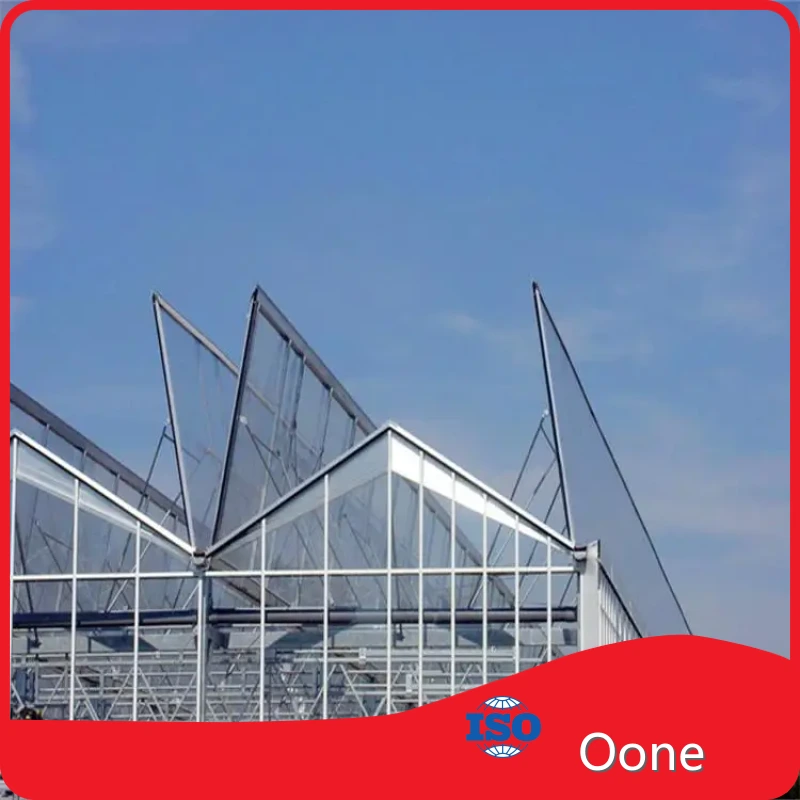 Large Glass Greenhouse Paypal by Oone 1