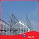 Large Glass Greenhouse Paypal by Oone 1