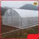 Greenhouse Supplier 25mm / Thickness:0.6mm 25mm Wholesale - Oone 1