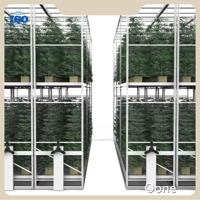 Hydroponic Rack for Sale Oone - - Oone 1